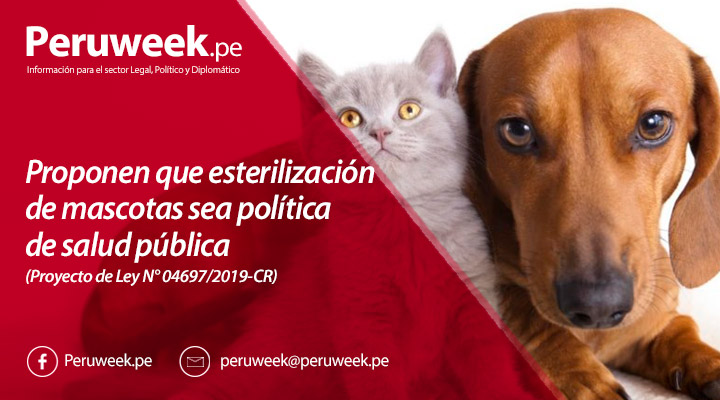 Proponen que esterilización de mascotas sea política de salud pública (Proyecto de Ley N° 04697/2019-CR)