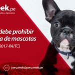 TC: No se puede prohibir la tenencia de mascotas (Exp N° 01413-2017-PA/TC)