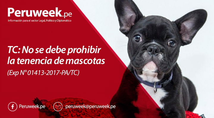 TC: No se puede prohibir la tenencia de mascotas (Exp N° 01413-2017-PA/TC)