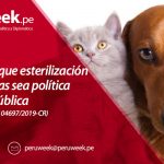 Proponen que esterilización de mascotas sea política de salud pública (Proyecto de Ley N° 04697/2019-CR)