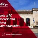 OEA: Compete al TC pronunciarse respecto a las decisiones institucionales adoptadas