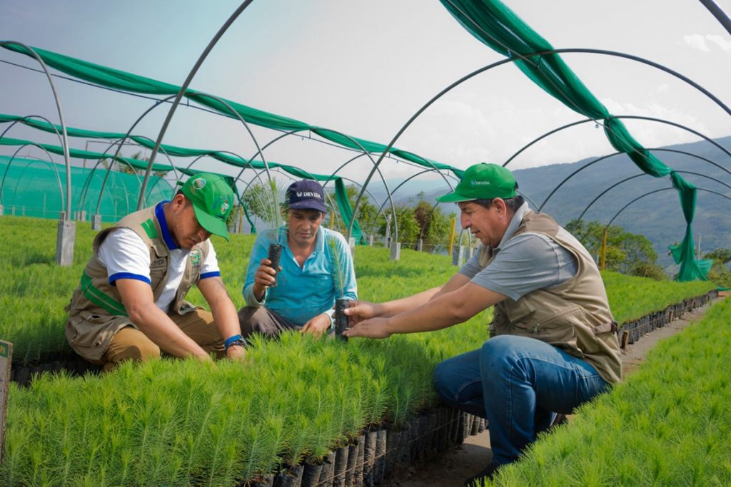 Protesta de trabajadores agroindustriales en Ica busca mejoras en condiciones laborales
