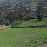 Reglamento de Gestión Ambiental