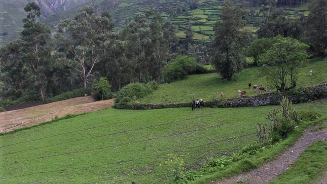 Reglamento de Gestión Ambiental