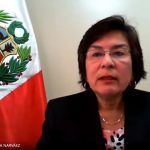 Tribunal Constitucional (Marianella Ledesma)
