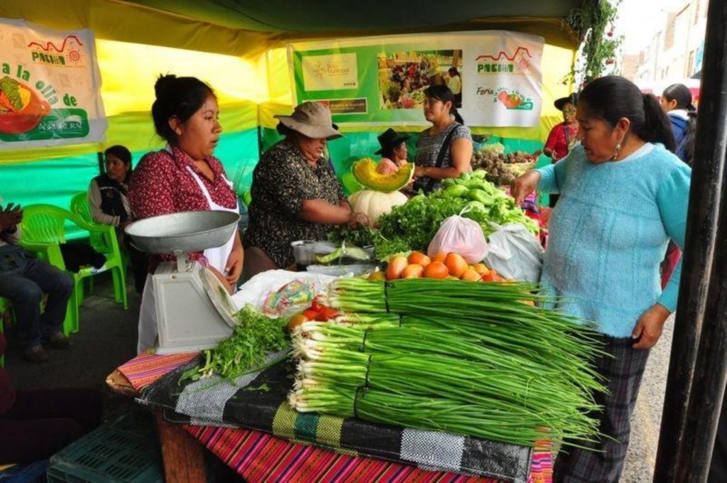 Aprueban el Reglamento de la Ley de Promoción del Desarrollo de los Mercados de Productores Agropecuarios (Decreto Supremo Nº 008-2020-MINAGRI)
