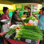 Mercados de Productores Agropecuarios