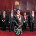 Tribunal Constitucional