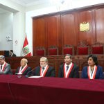 Tribunal Constitucional