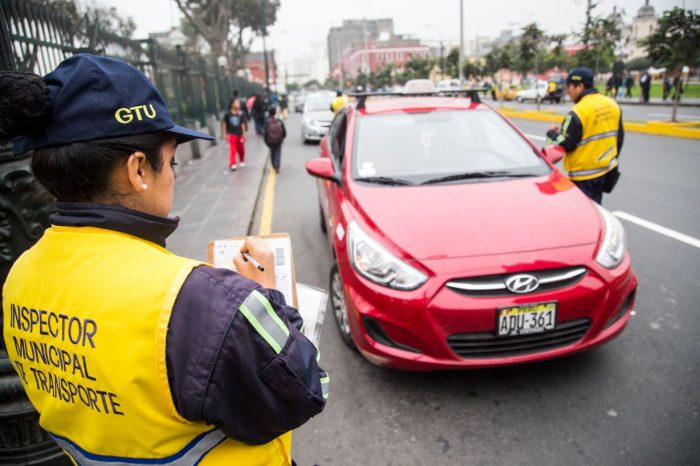 taxis colectivos