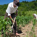 Régimen Laboral Agrario