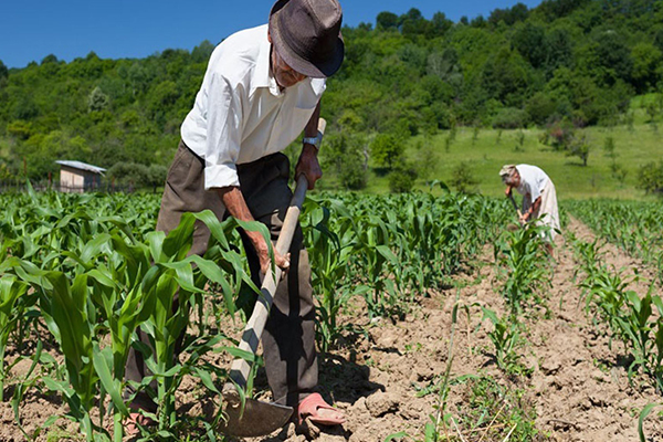 Régimen Laboral Agrario