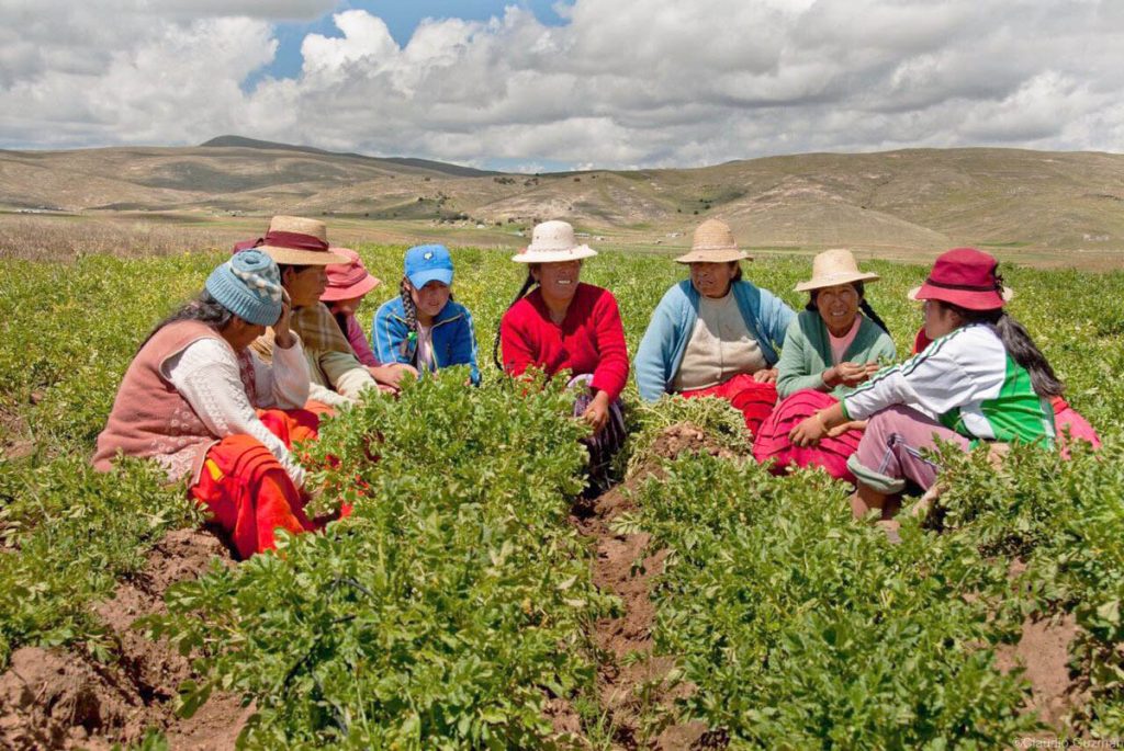 Ley que promueve el empoderamiento de las mujeres rurales e indígenas (Ley Nº 31168)