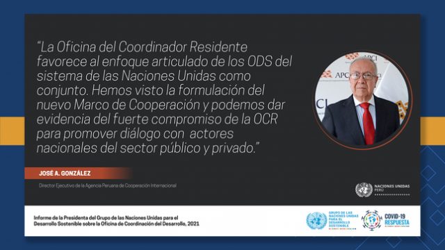 Perú, Ucrania y Túnez Participan en reunión del Consejo Económico y Social de la ONU