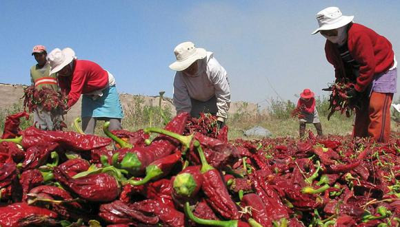 Ley de Promoción de la Extensión Agropecuaria