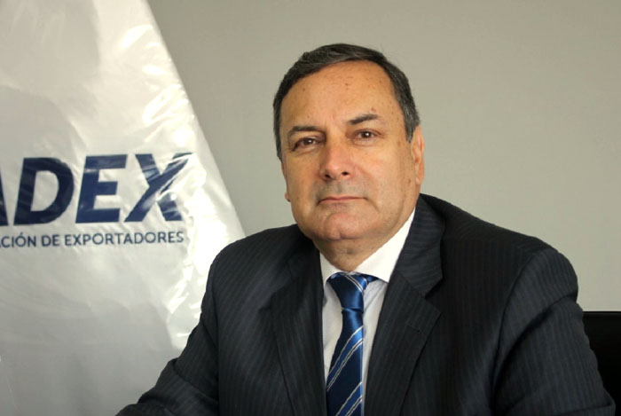 Erik Fischer Llanos, presidente de ADEX