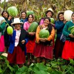 cooperativas agrarias
