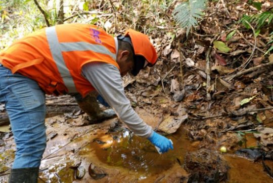 Planes de Rehabilitación de sitios contaminados por hidrocarburos en la cuenca del Marañón