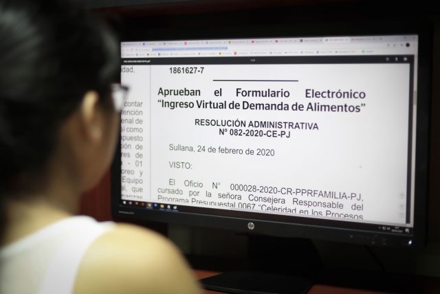 Poder Judicial: ingreso de demanda de alimentos será vía web