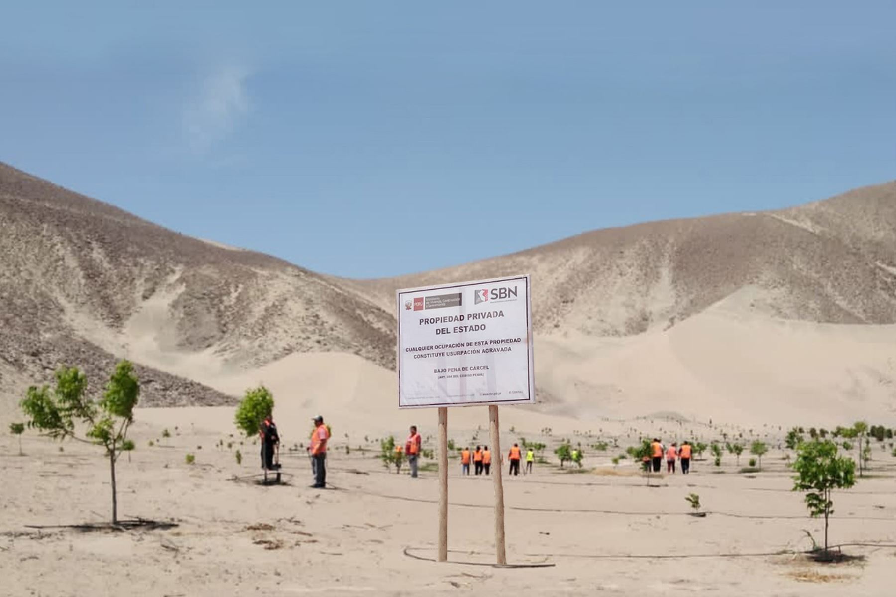 SBN: Aprueban disposiciones para la constitución de usufructo sobre predios estatales (Directiva N° DIR-00003-2022/SBN)