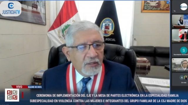 Expediente Judicial Electrónico en procesos civiles