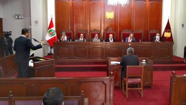 Tribunal Constitucional