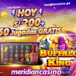 buffalo king meridian casino