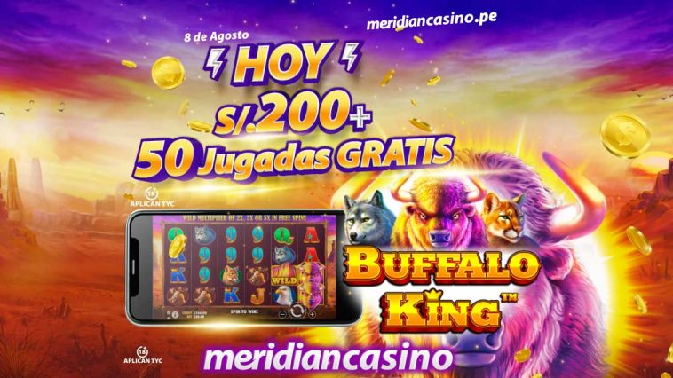 buffalo king meridian casino