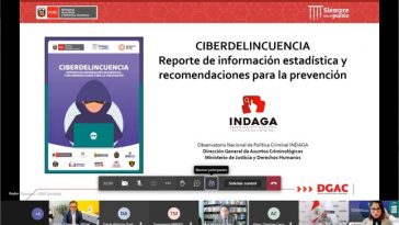 MINJUSDH estudio sobre ciberdelitos