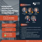 Problemas Actuales del Derecho Penal Económico