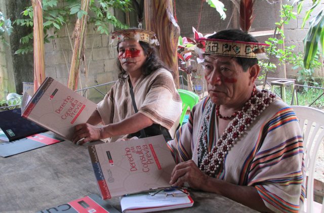 ONU exhorta al Estado peruano respetar consulta previa para proteger derechos de pueblos y mujeres indígenas