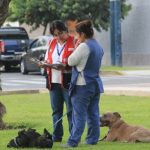 trabajadoras del hogar