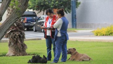 trabajadoras del hogar